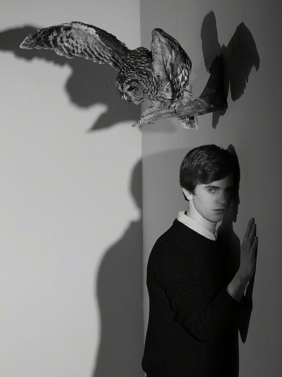 Owl, Bates Motel. A&E Networks.